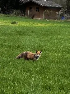 Mehr über den Artikel erfahren Test