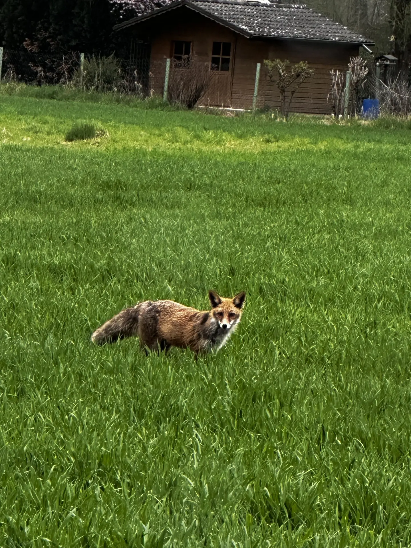 Mehr über den Artikel erfahren Test